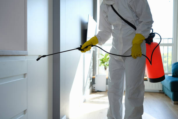Best Mold Testing  in Davison, MI