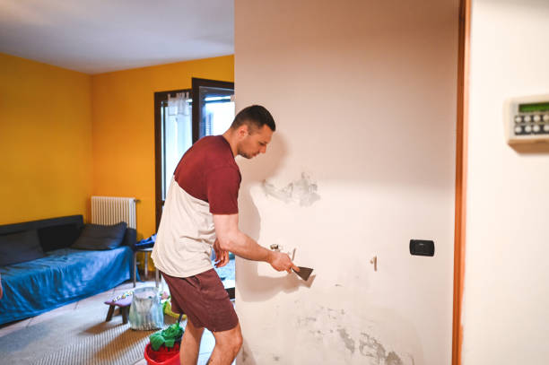 Best Mold Removal Company Near Me  in Davison, MI